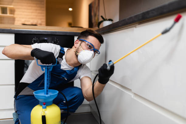 Best Bed Bug Extermination  in El Cenizo, TX