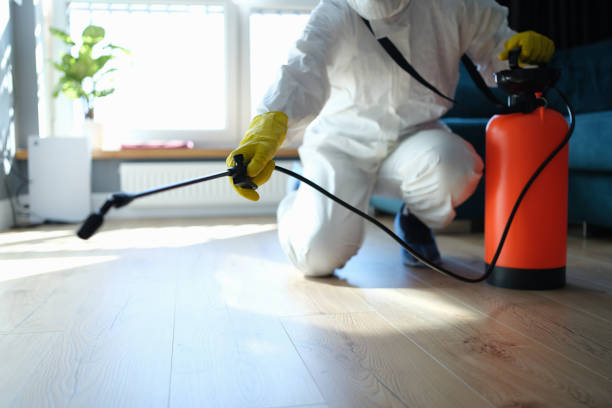 Best Local Pest Control Services  in El Cenizo, TX