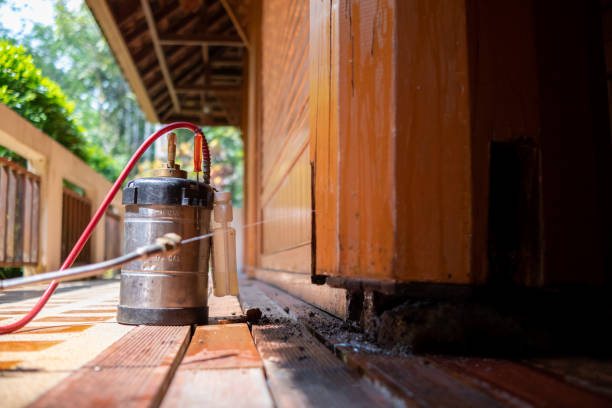 Best Pest Prevention Services  in El Cenizo, TX