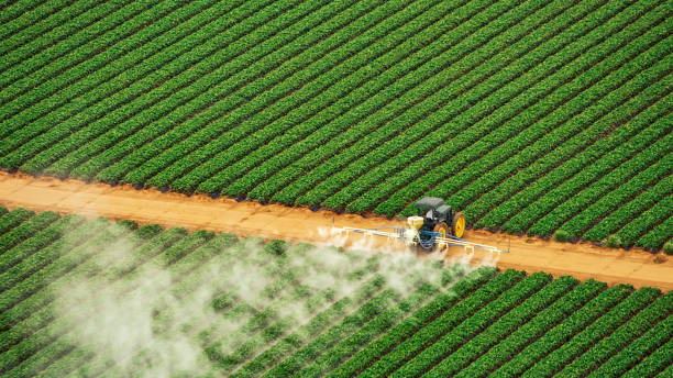 Best Pest Inspection Near Me  in El Cenizo, TX
