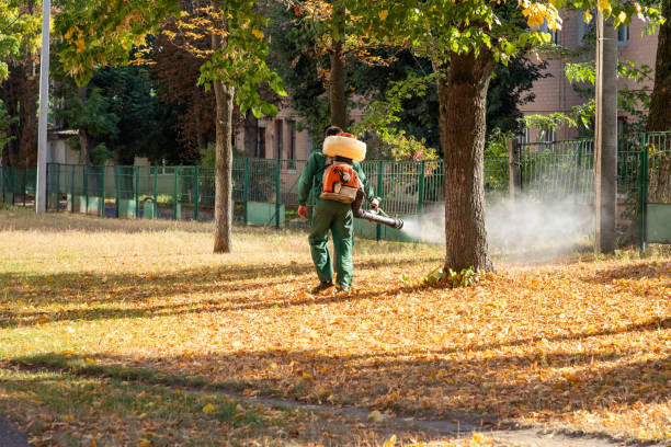 Best Cockroach Control Services  in El Cenizo, TX